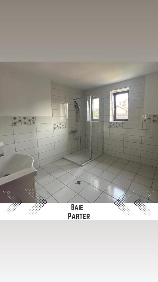 Vila Mik Guesthouse Sacele Exterior photo