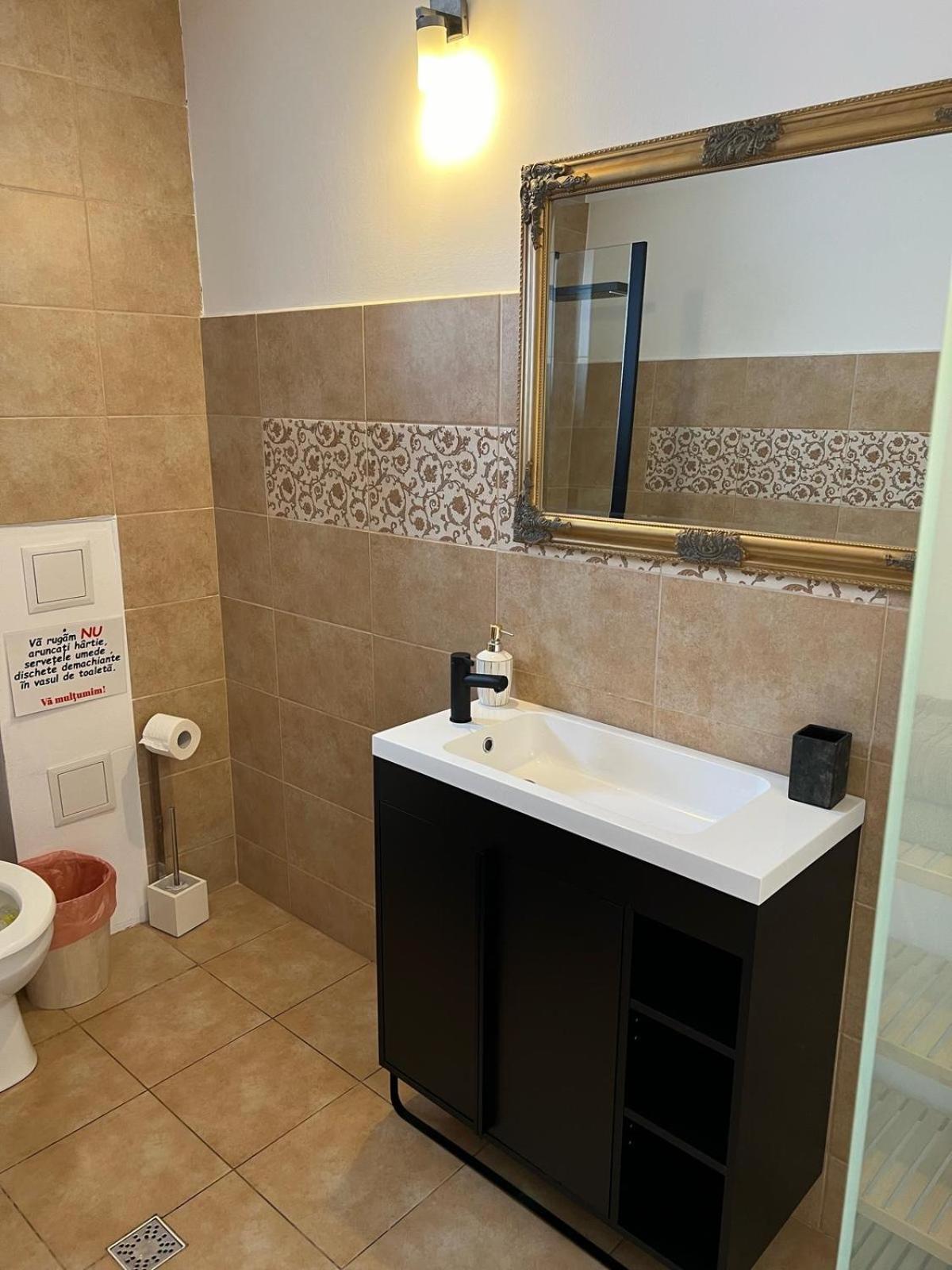 Vila Mik Guesthouse Sacele Exterior photo